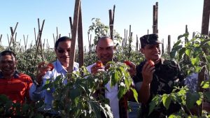 bupati manggarai: pertanian dan hortikultura tetap jadi prioritas
